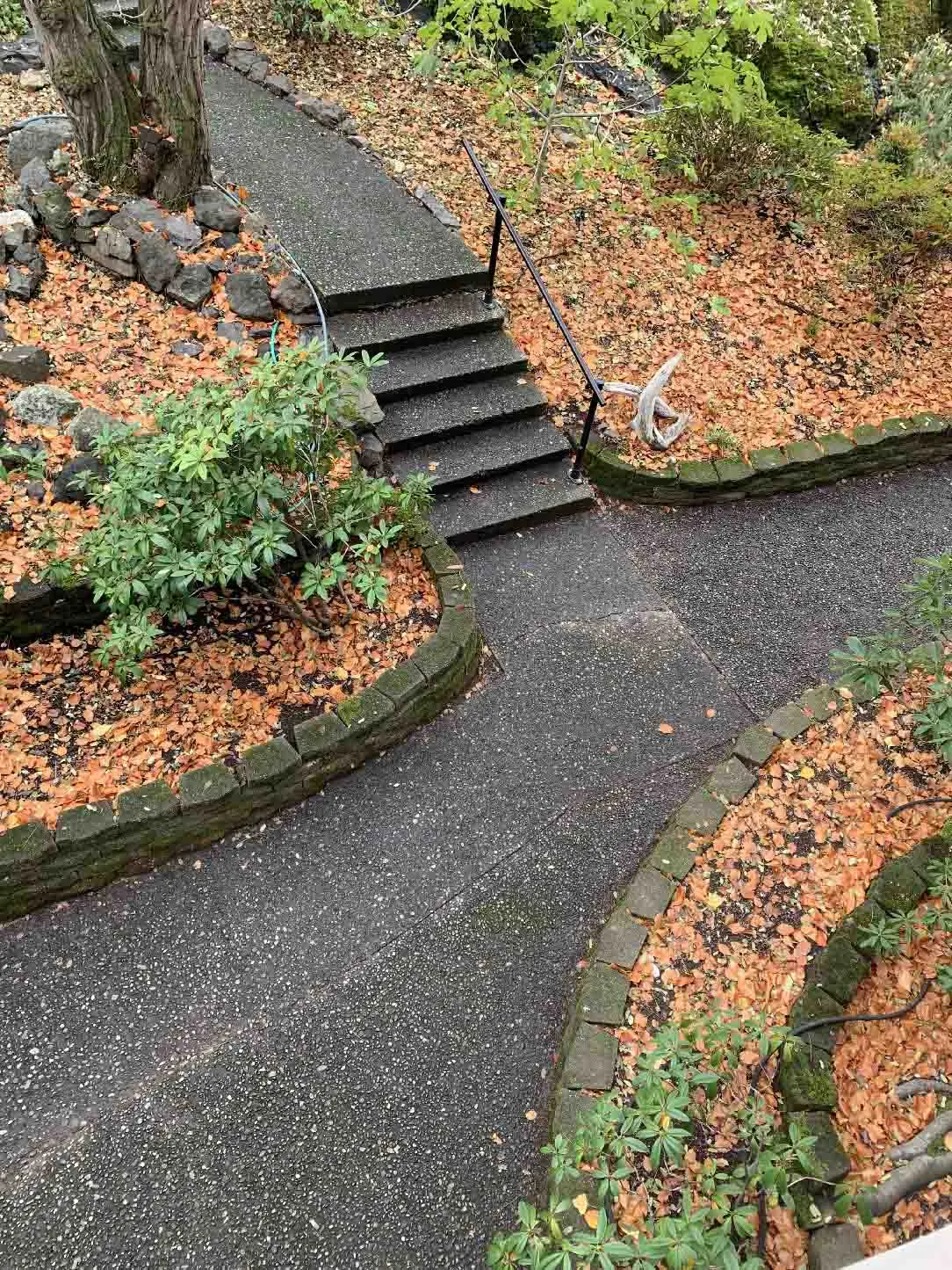 Pathway and stairs, topsoil